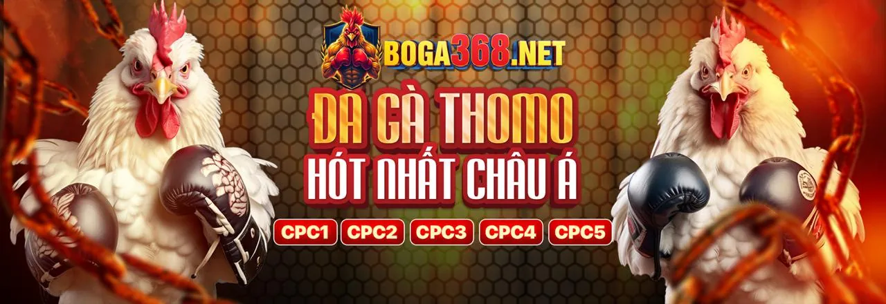 Các bước đăng ký và nhận tiền thưởng tại xem kèo nhà cái